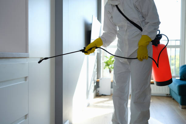 Best Real Estate Mold Inspection  in Chino, CA